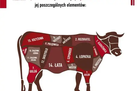 Wołowina MAKRO: Najlepsze rodzaje mięsa i aktualne promocje